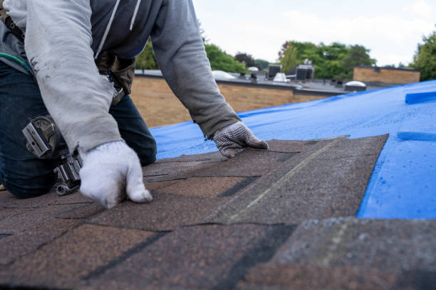 Best Flat Roof Repair Services  in Riverton, IL